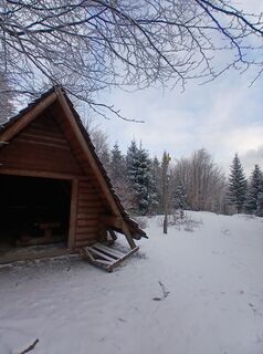 Fotografia z Daniel Kremiec na trase
