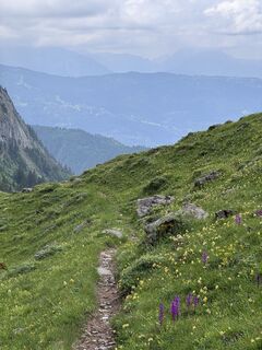Photo de Niels Kooijman le long du parcours