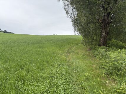 Photo de Beat A Wicki le long du parcours