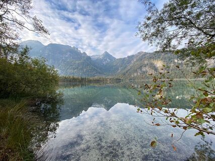 Offensee