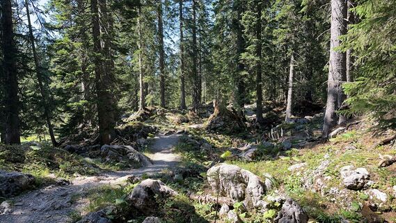 Zdjęcie z Mani S wzdłuż trasy