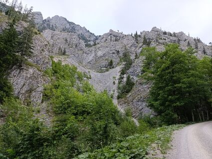 Foto von Meli entlang der Tour