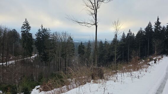 Foto de Berg504 a lo largo del recorrido