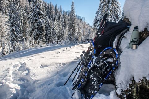 Auf die Goss in Hinterwildalpen