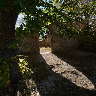 Burg Plesse