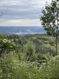 Foto von Reinhard Frewein entlang der Tour