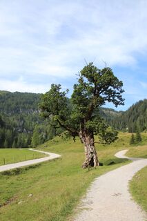 Foto von Günter Kleutsch entlang der Tour