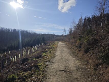 Foto von Björn Heun entlang der Tour