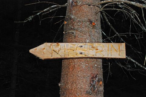 Die Riegerin (1939 m) aus dem Brunntal