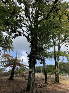 Zdjęcie z Jürgen Eisenreich wzdłuż trasy