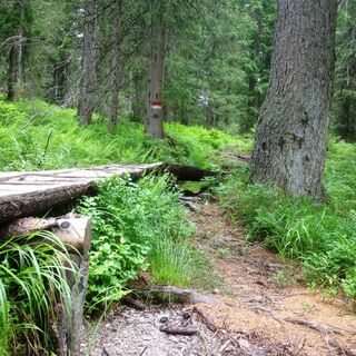 Wanderweg