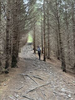 Photo de Silkrie ?✌️ le long du parcours