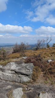 Zdjęcie z hochlandfamilie wzdłuż trasy