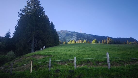 Foto von Sven & Aussie Lexi entlang der Tour