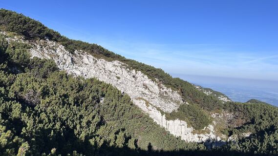 Photo de Mountain Cat ? ⛰️ le long du parcours