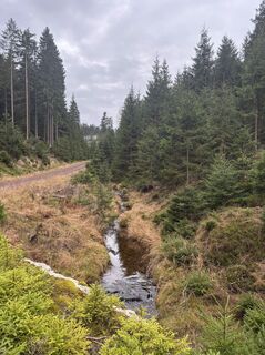 Foto von Kai Erdmann entlang der Tour