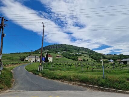 Fotografia z Szomi Balázs na trase