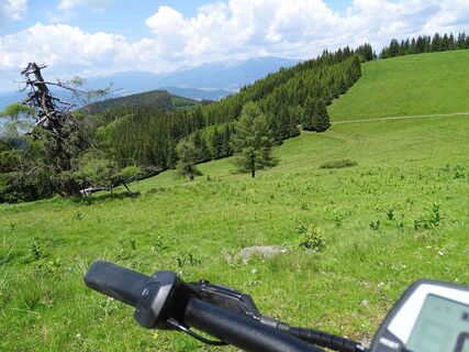 Ausblick auf die Seetaler Alpen