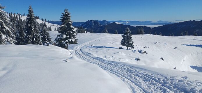 Foto von Janez Perko entlang der Tour