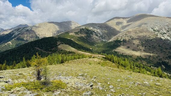 Foto de Manfred Beutl a lo largo del recorrido