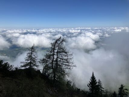 Photo de Meinrad Föger le long du parcours