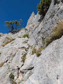 Fotografija s spletne strani Kreva89 na poti