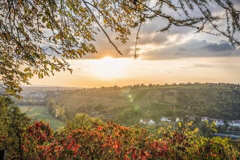 Ausblick vom Fürstenstand Bietigheim-Bissingen 1