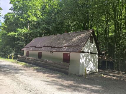 Fotografie z Darija Forgač na trase