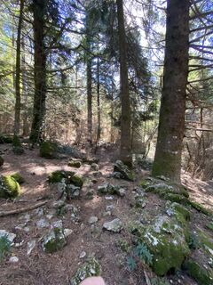 Foto da Arthur Muskalla lungo il tour