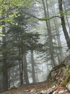 Photo de Elie Duffas le long du parcours