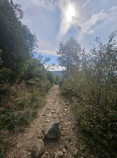 Photo de Eli le long du parcours