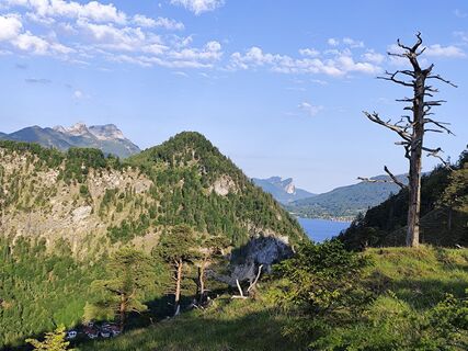 Foto von Margit Leitner 1 entlang der Tour