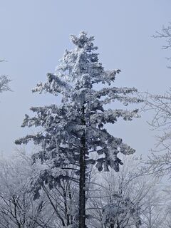 Foto de Sabine a lo largo del recorrido