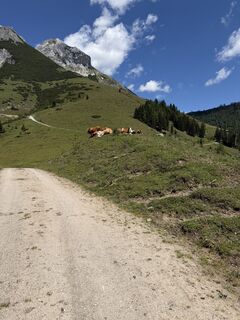 Foto von Robert entlang der Tour