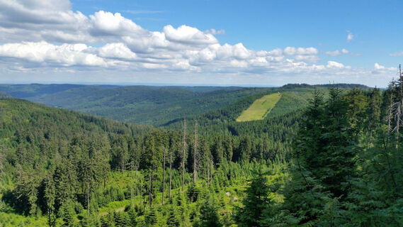 Aussicht unterhalb des Bismarckturms