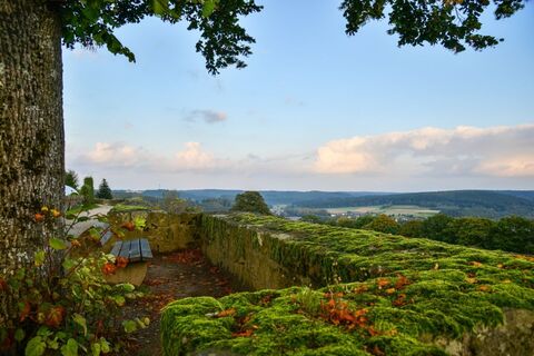 Blick von der Stadtmauer auf den Naturpark Arnsberger Wald