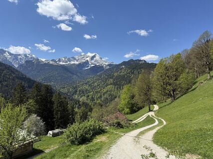 Zdjęcie z Similaun wzdłuż trasy