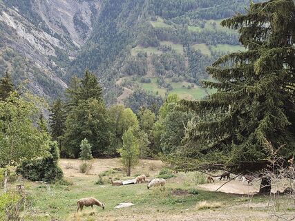 Foto von derroehrig entlang der Tour