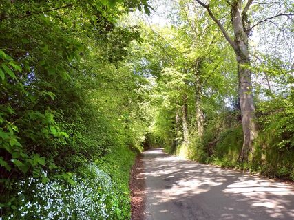 Hohlweg