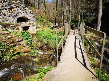 Der Wald der Gardes_source-ferrals