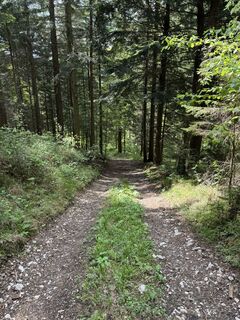 Foto de CarolineKlima a lo largo del recorrido