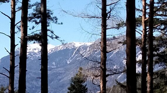 Fotografija s spletne strani gottfriede na poti