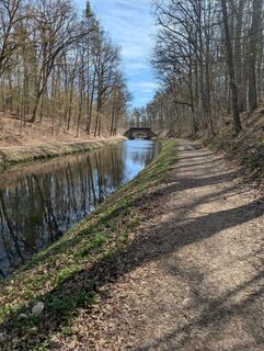 Foto de Speedy Gonzales a lo largo del recorrido