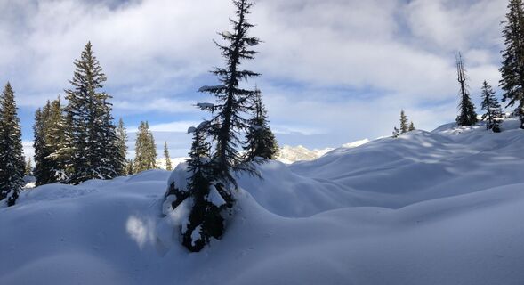 Fotografia z Gridlokk na trase