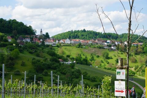 WT5_WeinWanderWeg_Löwenstein_Weinsberger Tal_Linnebach_HeilbronnerLand