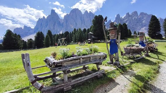 Foto von walrei entlang der Tour