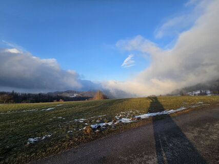 Photo de enipeus 65 le long du parcours