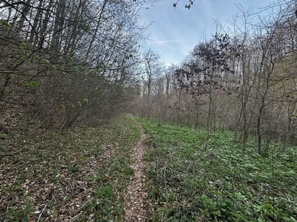 Foto von Reti Alicia entlang der Tour