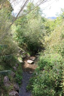 Der Haldenbach