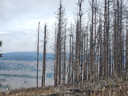 Fotografie z Holm Trittel na trase